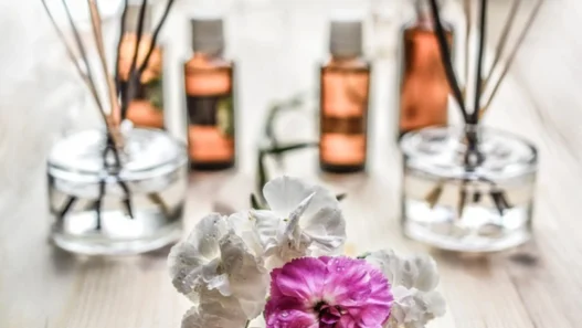 fragrances