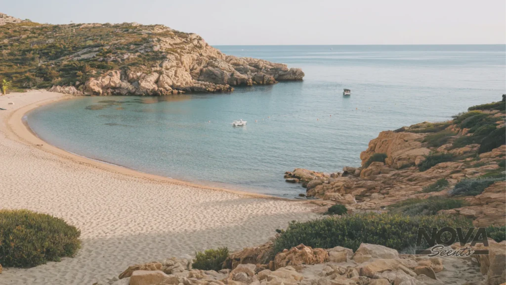 travel diaries in sardinia the best beaches in europe